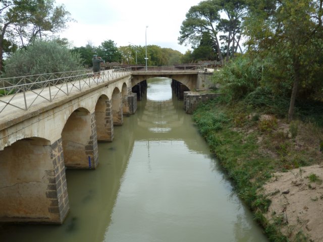 p1000918.jpg