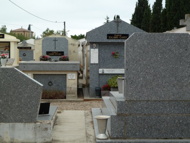 p1000933.jpg