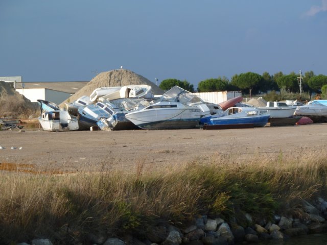 p1010024.jpg