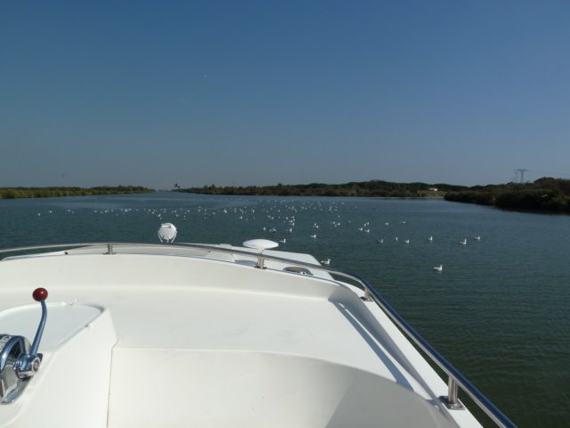 p1010056.jpg