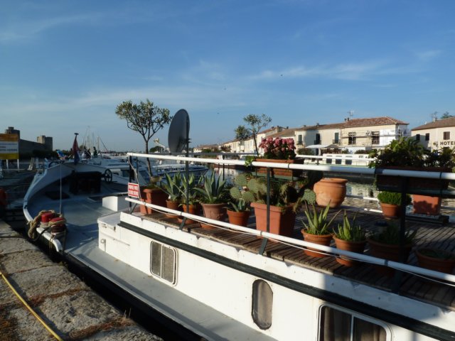 p1010091.jpg